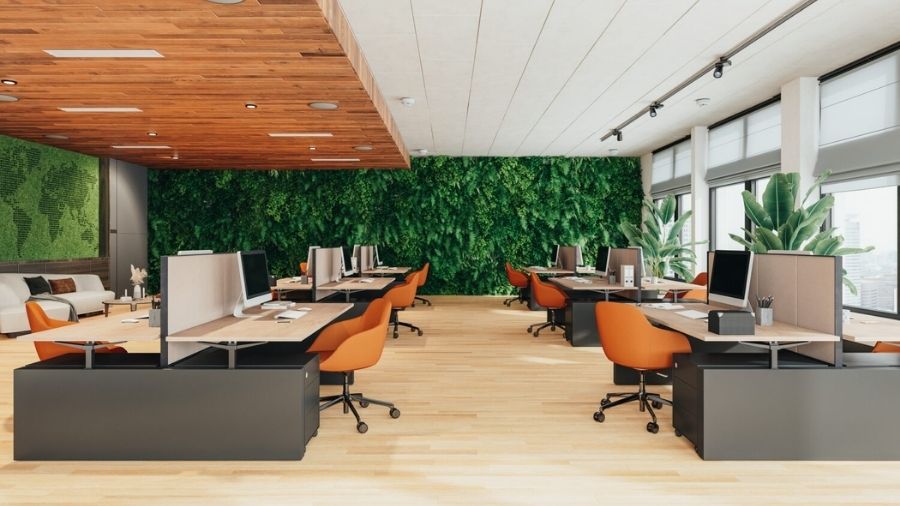 Sustainable and Eco-Friendly Furniture